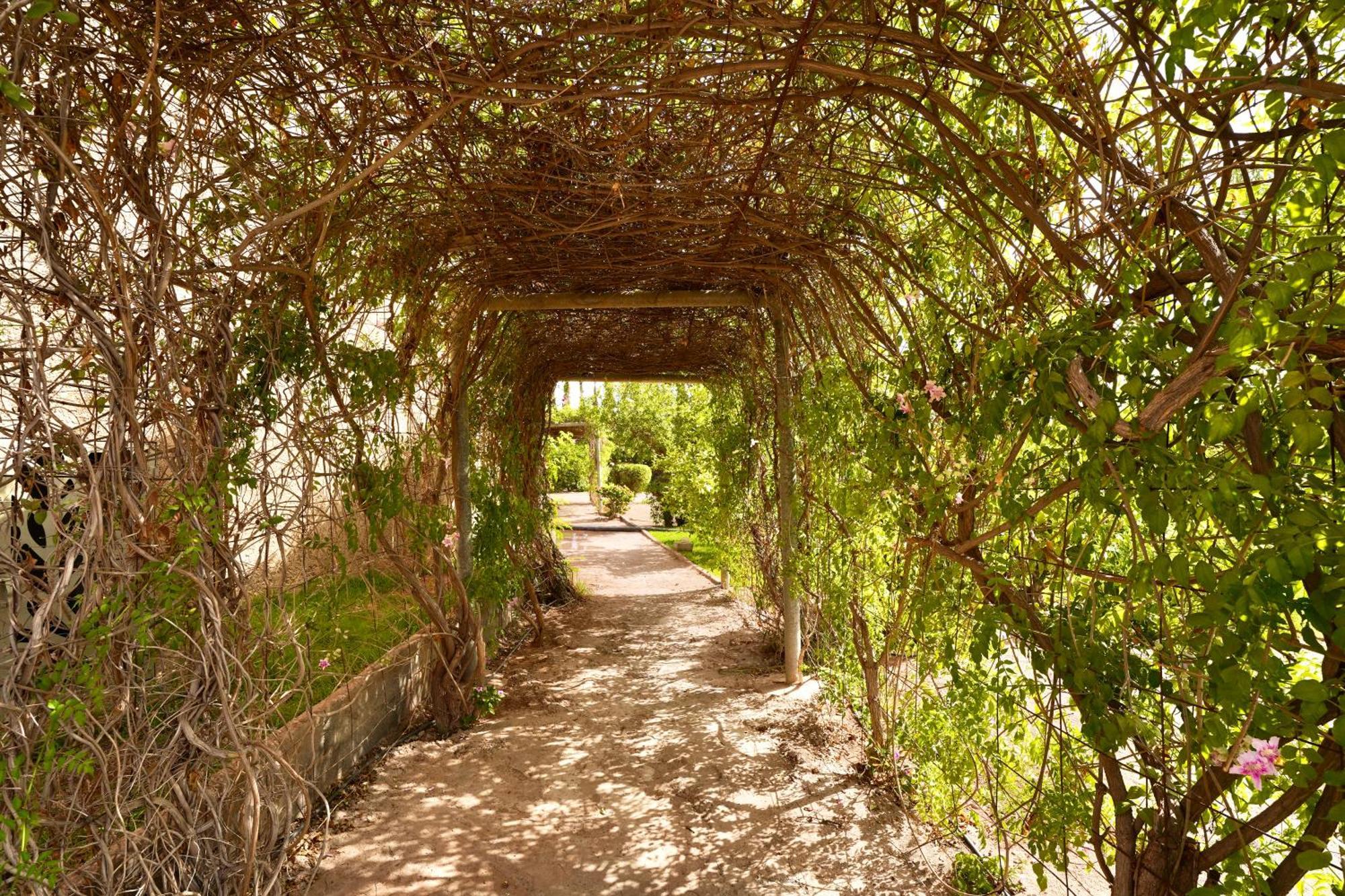 Ourika Camp & El Harkat